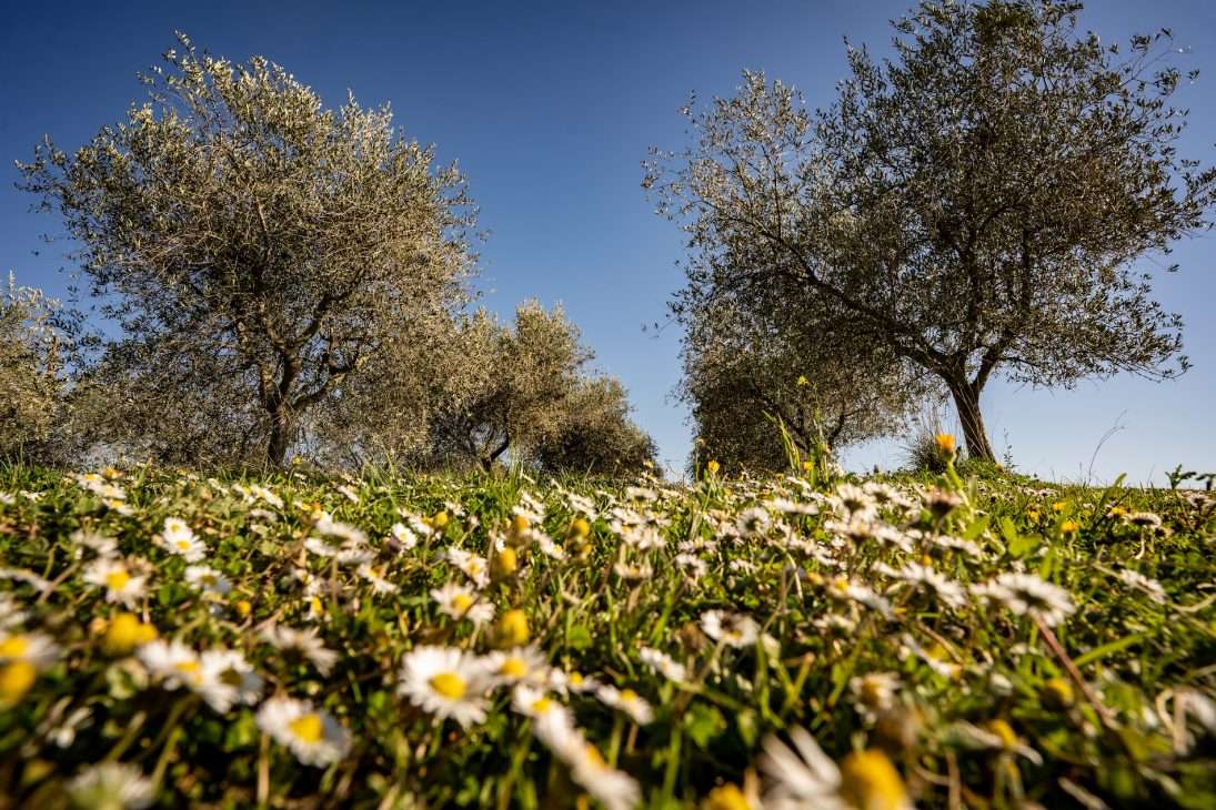 B&B capalbio mare - maremma-in-primavera 